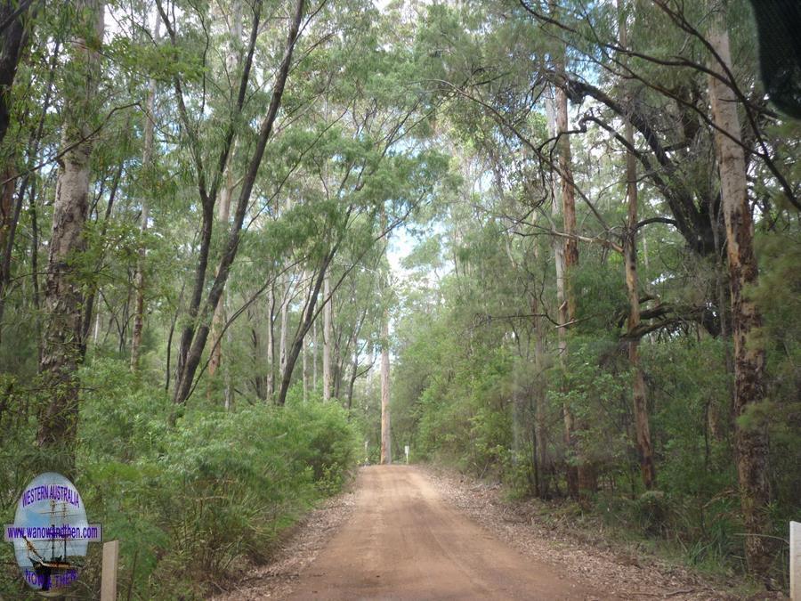 Walk Trails - South West of Western Australia